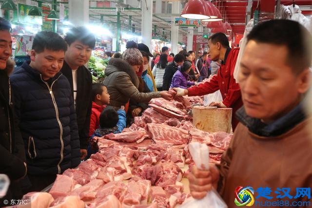 养殖项目有太多，到底做啥能挣钱