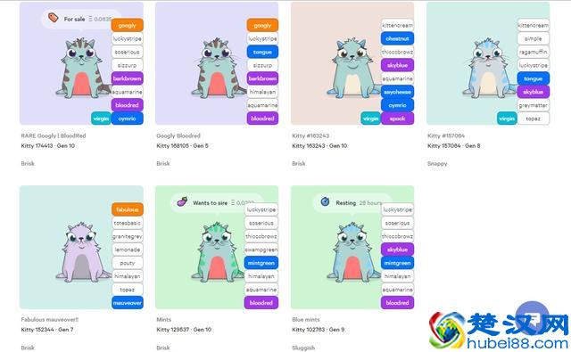 你还在养宠物花钱，看看人家如何养宠物赚钱！