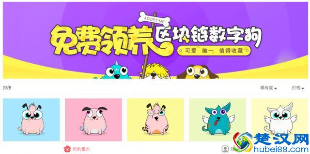 你还在养宠物花钱，看看人家如何养宠物赚钱！