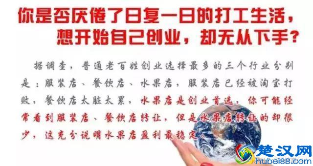 开水果店是加盟好还是自营好？不好意思，我选择自营！