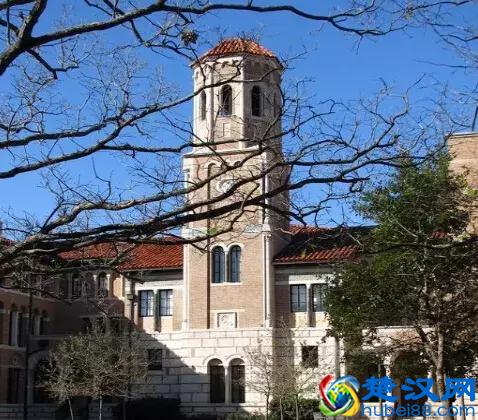 在休斯顿有哪些好的大学？不止休斯顿大学！｜休斯顿教育
