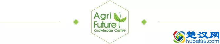 悠悠岁月，百年历史，回顾荷兰瓦赫宁根大学建校100周年！