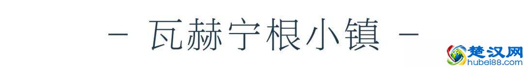 悠悠岁月，百年历史，回顾荷兰瓦赫宁根大学建校100周年！