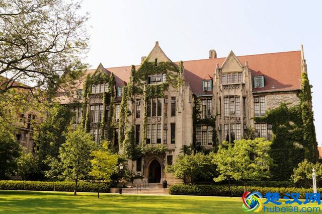 芝加哥有哪些大学专业好，申请容易
