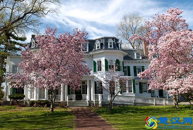 去罗格斯大学新伯朗士威校区本科怎么样？