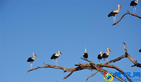 多伦多大学博士学长谈加拿大研究生的申请