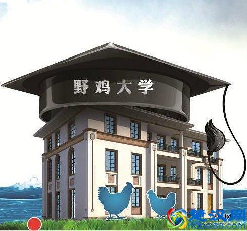 什么是野鸡大学？国家承认野鸡大学的学历吗？