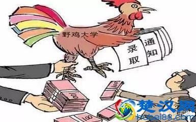 什么是野鸡大学？国家承认野鸡大学的学历吗？