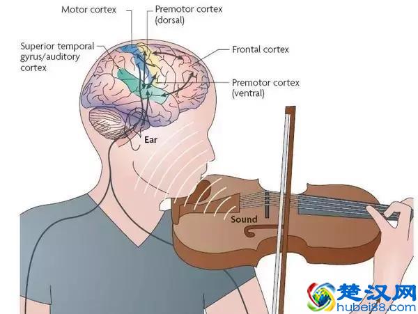为什么说让孩子学一门乐器是家长最明智的选择？