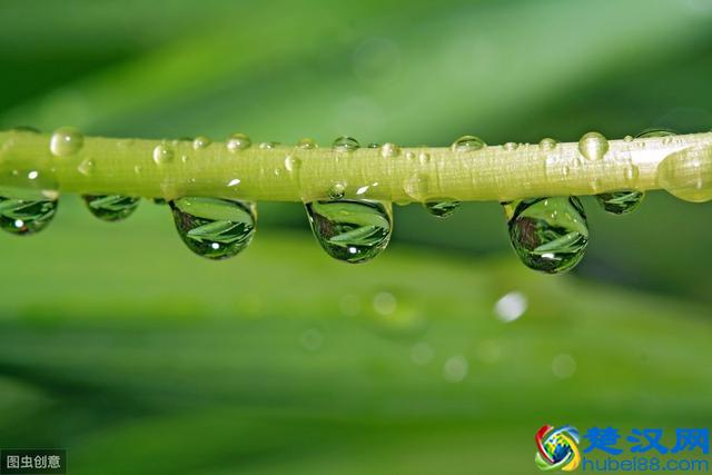 为什么会下雨呀？如果你的孩子问你这个问题，你会怎么回答？