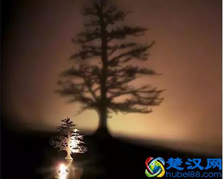 年会创意节目大全！