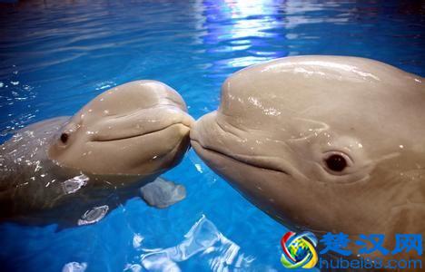 如果你到青岛去玩的话，必去的7个地方，保证你不说“不”字！