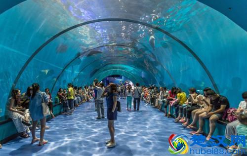 如果你到青岛去玩的话，必去的7个地方，保证你不说“不”字！