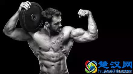 史上最全健身器械使用方法,拿走不谢!