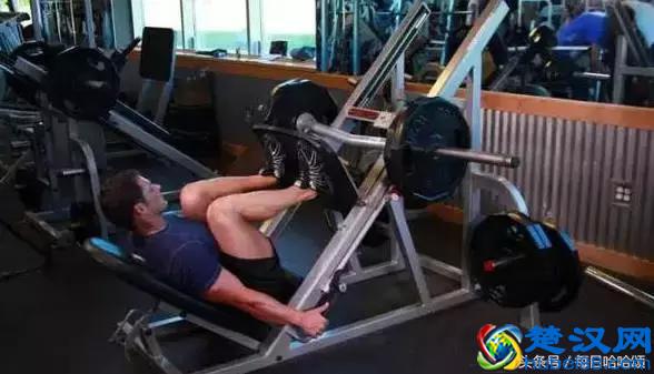 史上最全健身器械使用方法,拿走不谢!