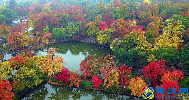 11月旅游必去的10个地方推荐