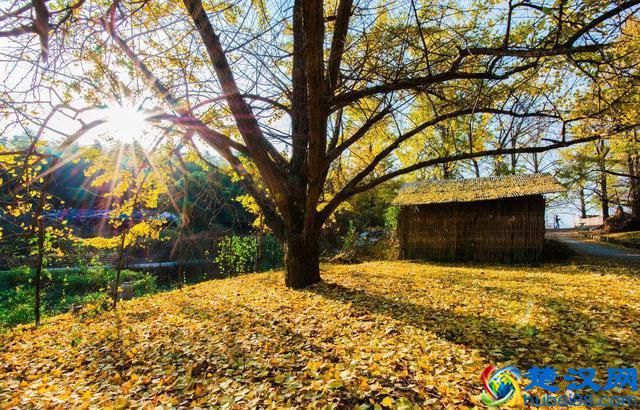 11月旅游必去的10个地方推荐