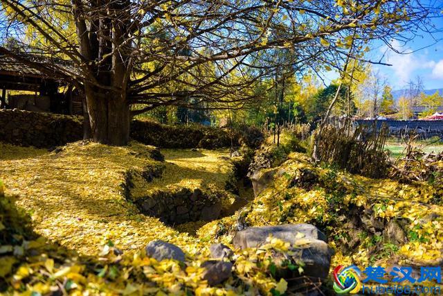 11月旅游必去的10个地方推荐