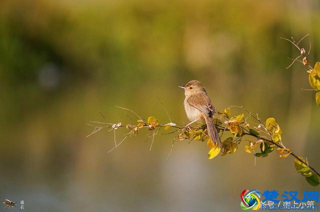 记住了:什么都是浮云!
