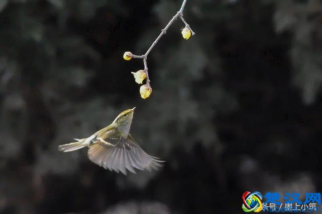 记住了:什么都是浮云!
