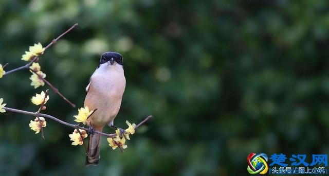 记住了:什么都是浮云!