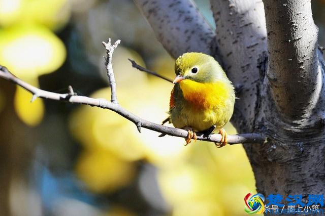 记住了:什么都是浮云!