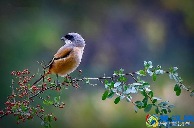 记住了:什么都是浮云!