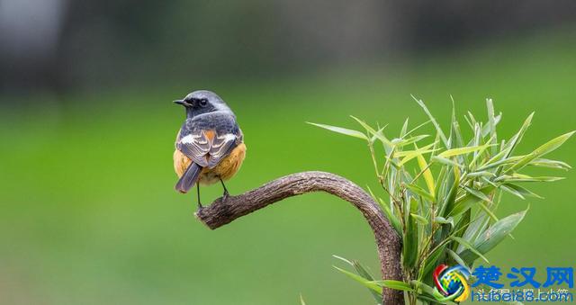 记住了:什么都是浮云!