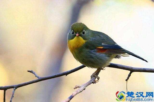 记住了:什么都是浮云!