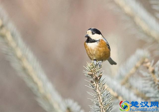 记住了:什么都是浮云!