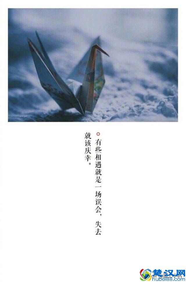 相遇总是猝不及防，而离别多是蓄谋已久