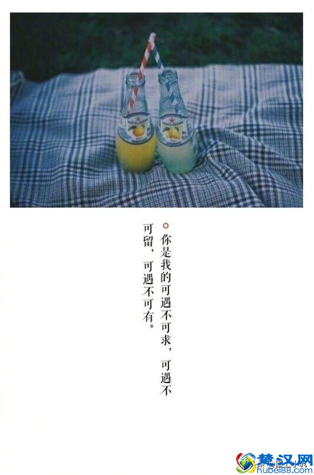 相遇总是猝不及防，而离别多是蓄谋已久