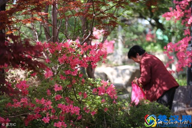 王阳明：心无旁骛内心宁静，才能做成一件事