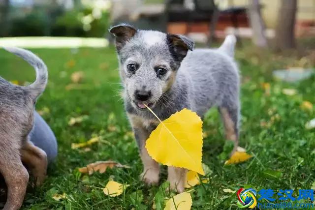 生活里，那些默默无闻的善良人
