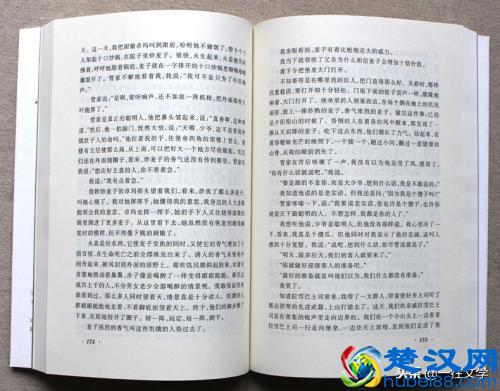 《尘埃落定》写于1994年，为什么隔了四年才出版？