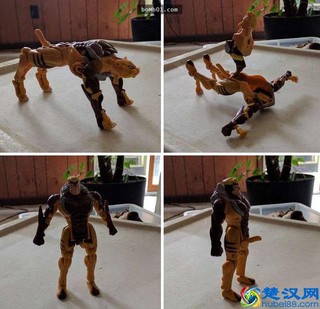 25个让人哭笑不得的坑爹设计，简直不能忍……