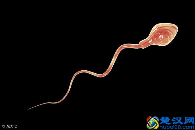 精子排出后能存活多长时间？因人而异，与所处环境有关