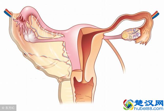 精子排出后能存活多长时间？因人而异，与所处环境有关