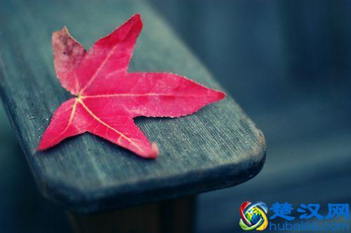 你可以善良，但千万别“逆来顺受”