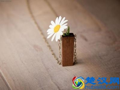 你可以善良，但千万别“逆来顺受”