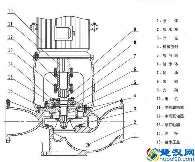 “水泵bèng”而不读“水bàng”，详解离心泵是什么？