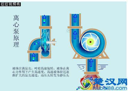 “水泵bèng”而不读“水bàng”，详解离心泵是什么？