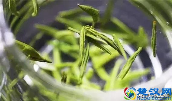 竹叶青属于什么茶？