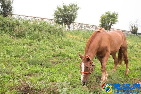 摄影最初的入门阶段,使用18-55mm镜头够不够用?