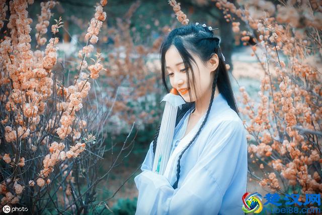 曾经沧海难为水，除却巫山不是云