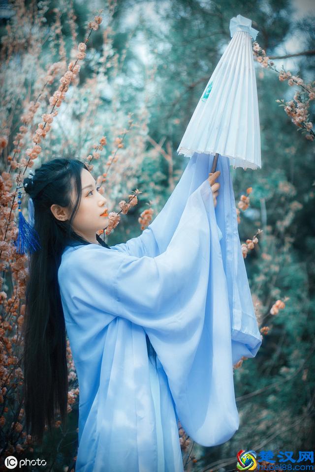 曾经沧海难为水，除却巫山不是云