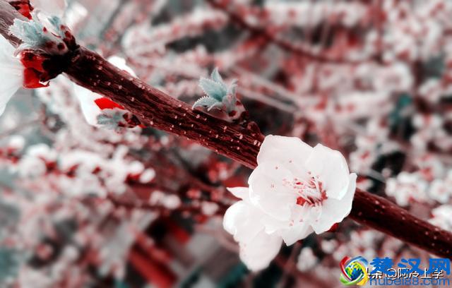 小学省略号的常见作用,分不清怎么办?这下可算弄清了