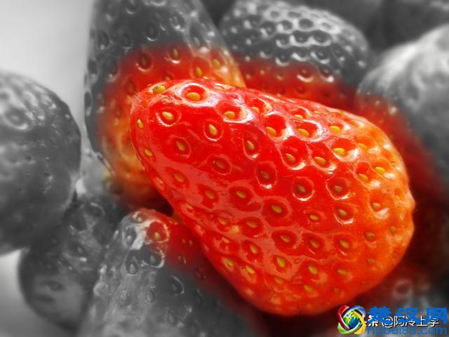 小学省略号的常见作用,分不清怎么办?这下可算弄清了