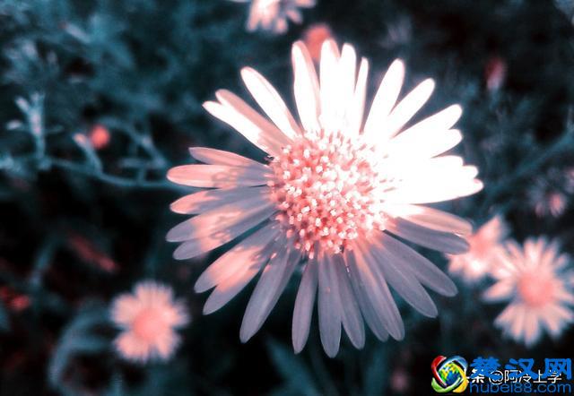 小学省略号的常见作用,分不清怎么办?这下可算弄清了