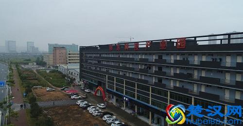 驭龙电器新品揭幕 电焰打造智能厨房